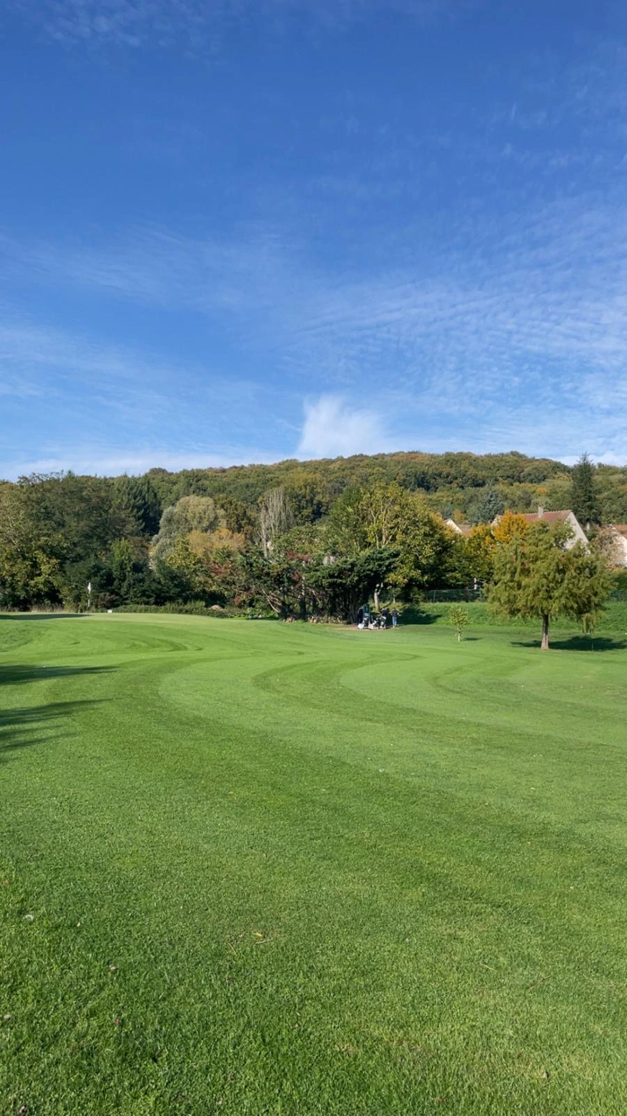 Grande pelouse tondue en lignes régulières